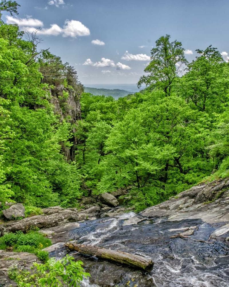 Receiving the "Top Travel Agency 2025" Award in Lagos.