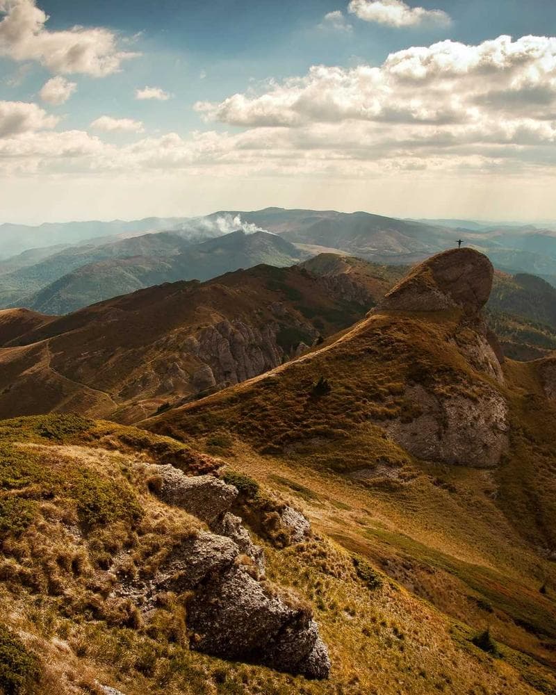 CEO of Mohkohrey Travels