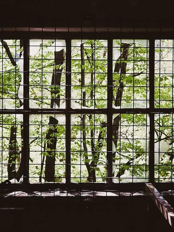 Hear from our alumni currently studying at Illinois State University.