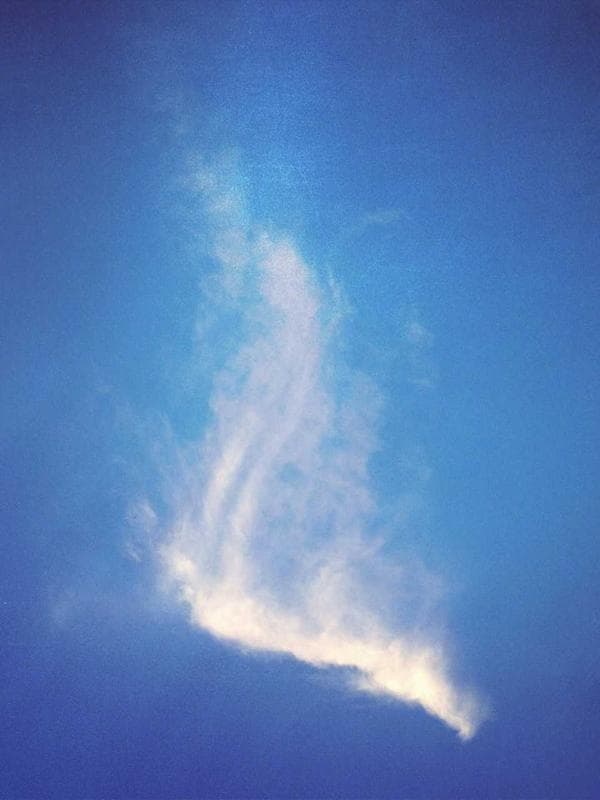 Another successful UK Study Visa granted!