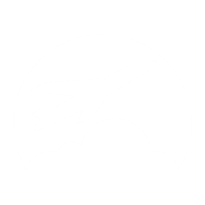 Mohkohrey Travels Logo